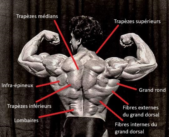 Le dos de Samir Bannout au complet